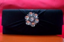 Evening Bag