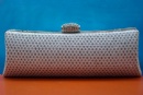 Evening Bag
